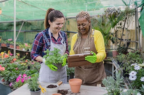 Partnerships Hort Innovation