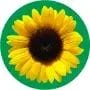 Hidden Disability Sunflower